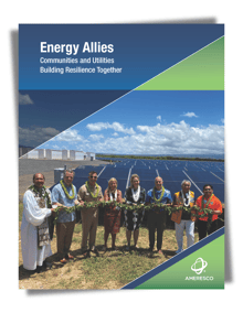 Content - 2025 - Energy Allies  WP - Cover Graphic Asset