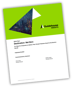 Guidehouse Insights - WP - Destination Net Zero Cover